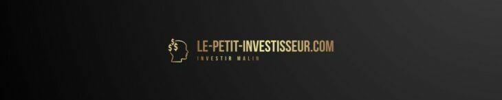 Le petit investisseur